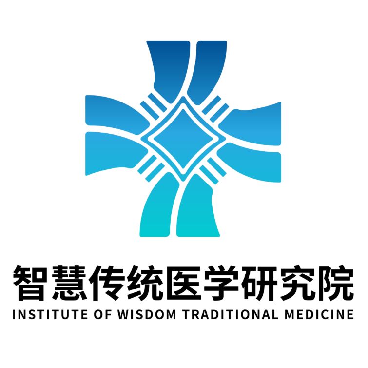 从系统论到数字孪生：解码传统医道的生命算法